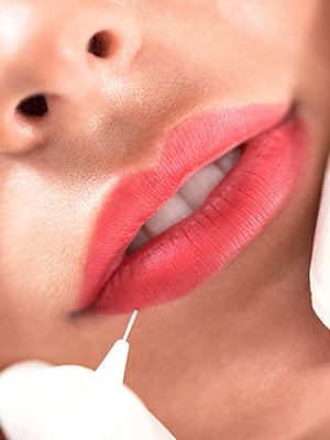Kissable lips - Curso Mela Beauty